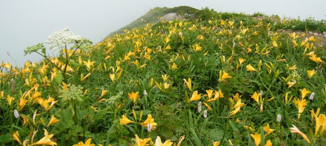 白山（1泊2日）